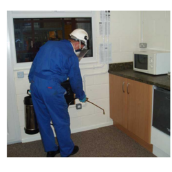 Indoor Pest Control Service in Delhi